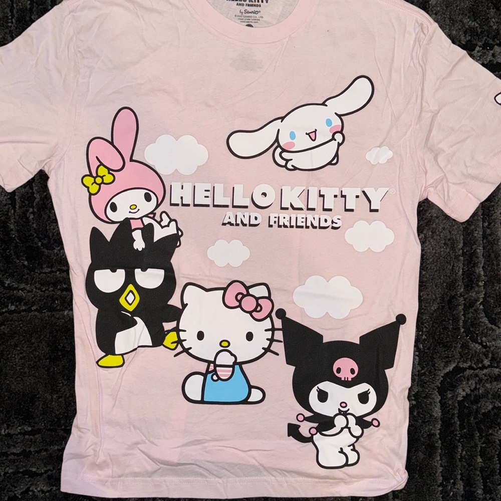 New Hello Kitty and friends graphic tee Tshirt kawaii medium pink